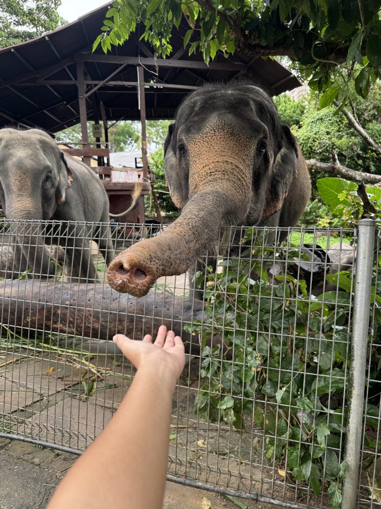 Tampin & Alor Gajah, Melaka
