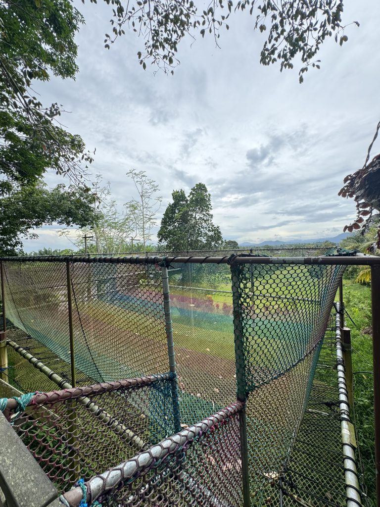 Itinerari di Tawau Sabah