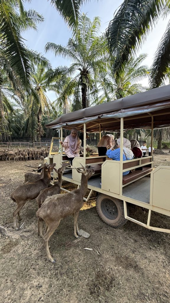Destinasi Menarik Trang Thailand