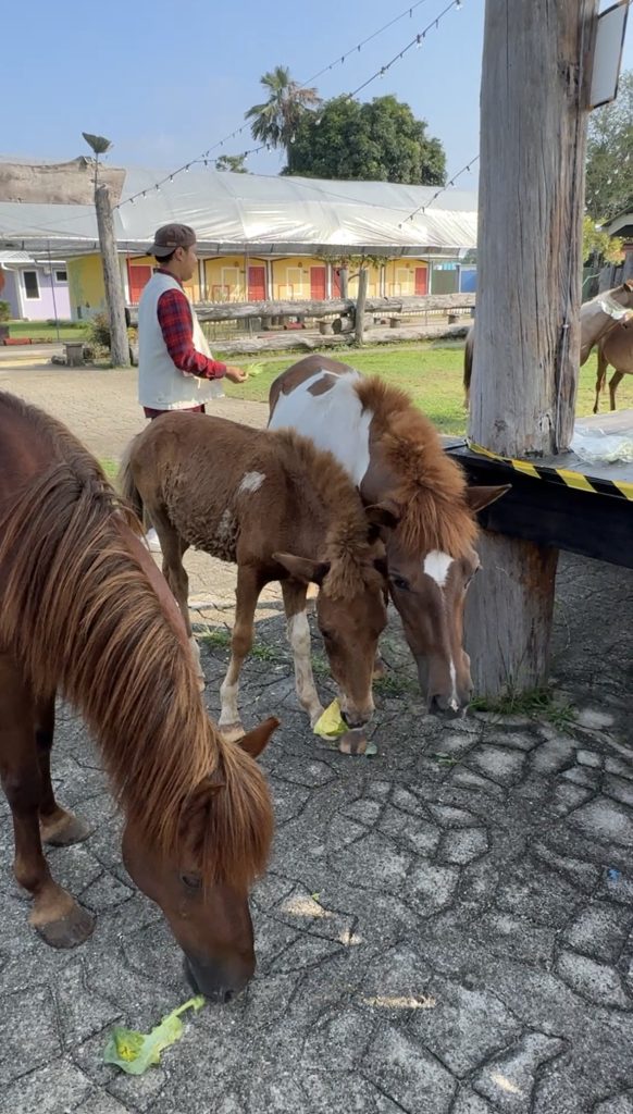 Tempat Menarik di Johor